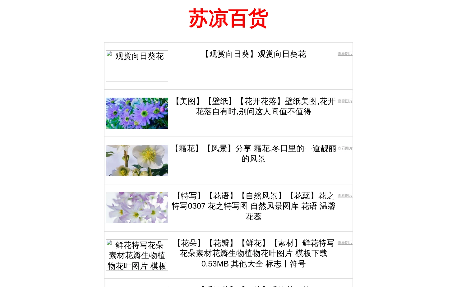 苏凉百货 页面快照